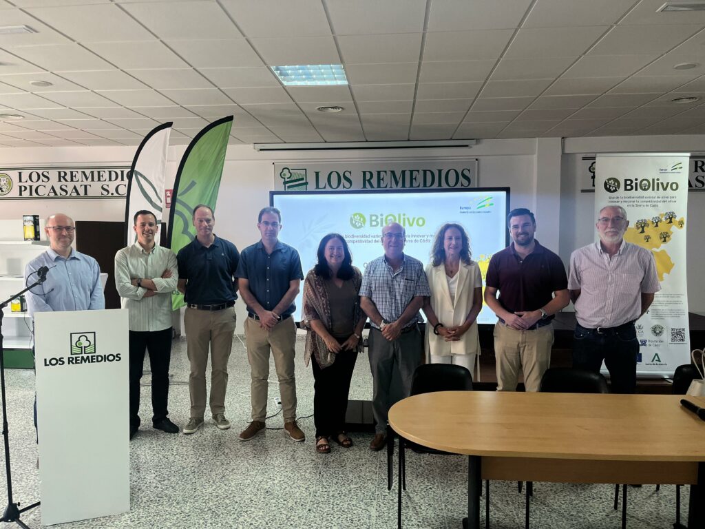 El GO Biolivo identifica cinco nuevas variedades de Olivo no catalogadas en la provincia de Cádiz